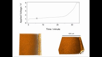 Operando and three-dimensional visualization of anion depletion and lithium growth by SRS
