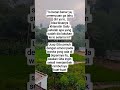 #shorts #shortvideo #shortsviral #sadstory #novel #fiction #cerita