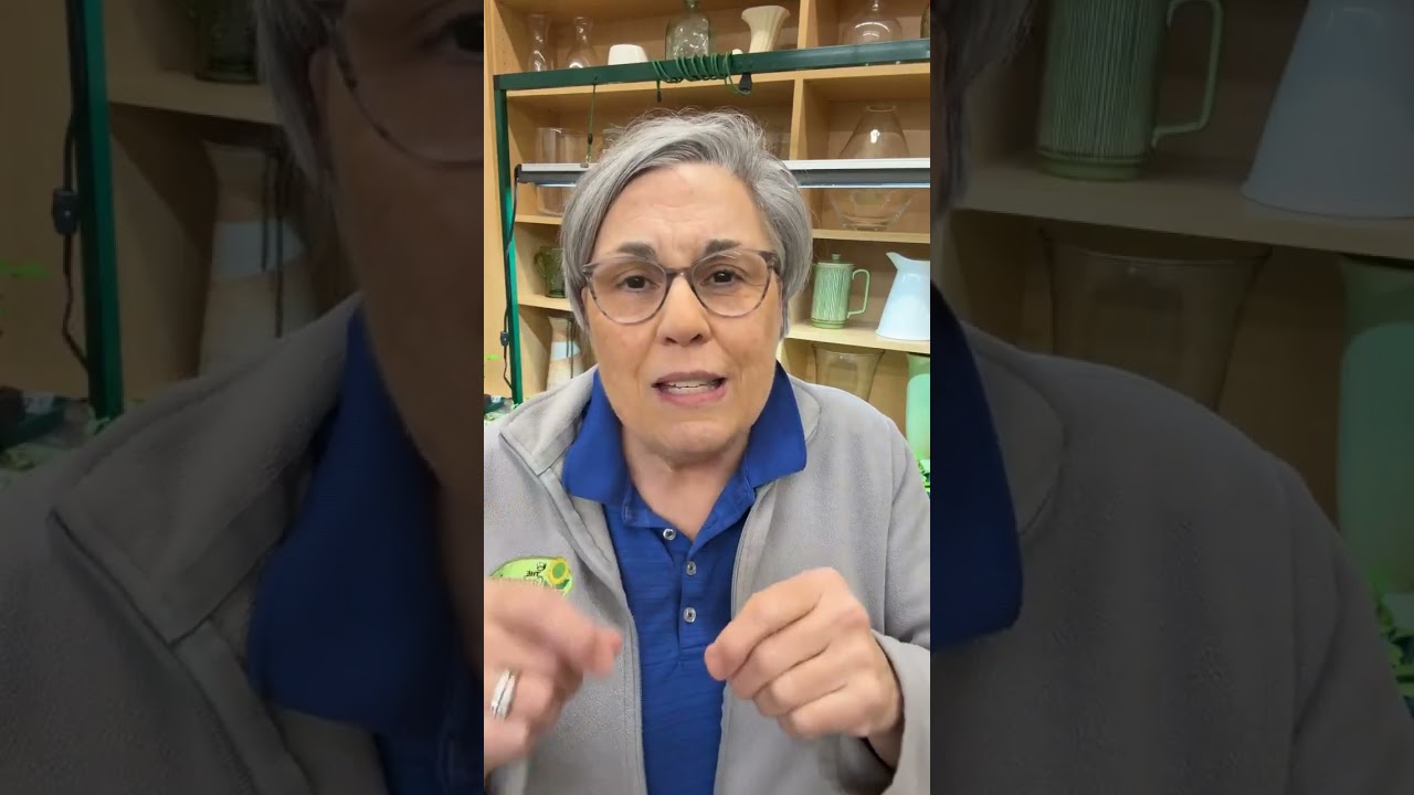 Ask a Flower Farmer! Comment MISTAKES for my free webinar: "Top 3 Beginner Flower Farming