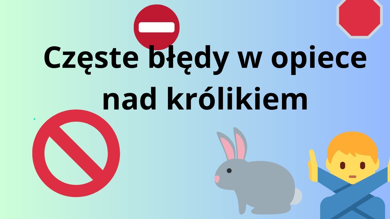 7 najczęstszych błędów w opiece nad królikiem❗🐰