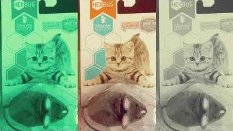 HexBug Cat Toy Review