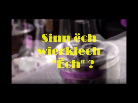 Sinn ëch wierklech "ËCH" ? - RevoLD Horizont & yKeÉeNt (Videoclip)