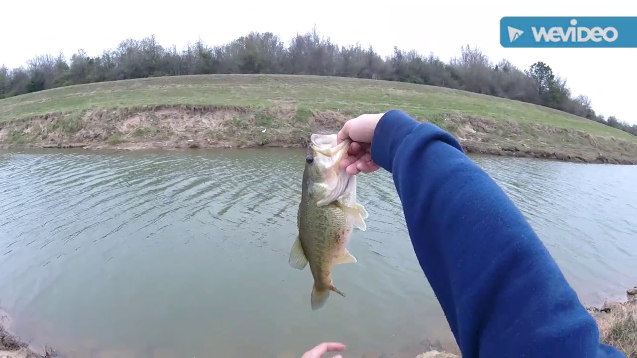 Fishing! Houston Texas!! Bayou fishing! YouTube