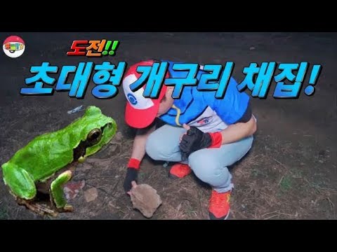 [쩡글TV] 낭만꾼의 개구리 채집 강의 ! 오늘도 역시 성공♬