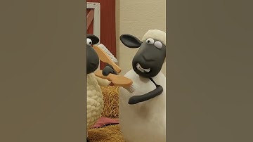 What Did The Sheep Find In The Barn? #childrensshow  #cute #childrenscartoon #sheep #shaunthesheep
