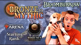 🥉 Bronze To Mythic: Episode 1 - Starting Rank: Bronze 4 - MTG Arena: 🐰 Bloomburrow Draft 🐰