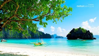 1 HOUR NON Stop Palawan Philippines Beach Ambient Relaxing Nature Sounds in Tropical Paradise