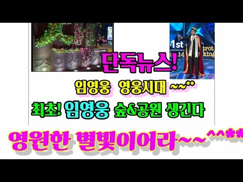 [단독뉴스]#임영웅  #영원한별빛** #1주년기념숲&공원조성  #홍대1호   #거리마다임영웅~~^^**