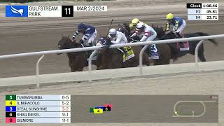 Vidéo de la course PMU GULFSTREAM PARK MILE S. PRESENTED BY JACK CHRISTOPHER