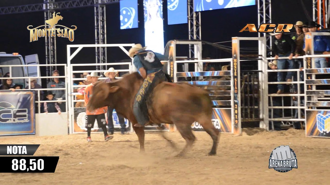 Montria Rodeio Rodeio de Monte Sião-MG 2019 - SÁBADO | MELHORES MONTARIAS - YouTube