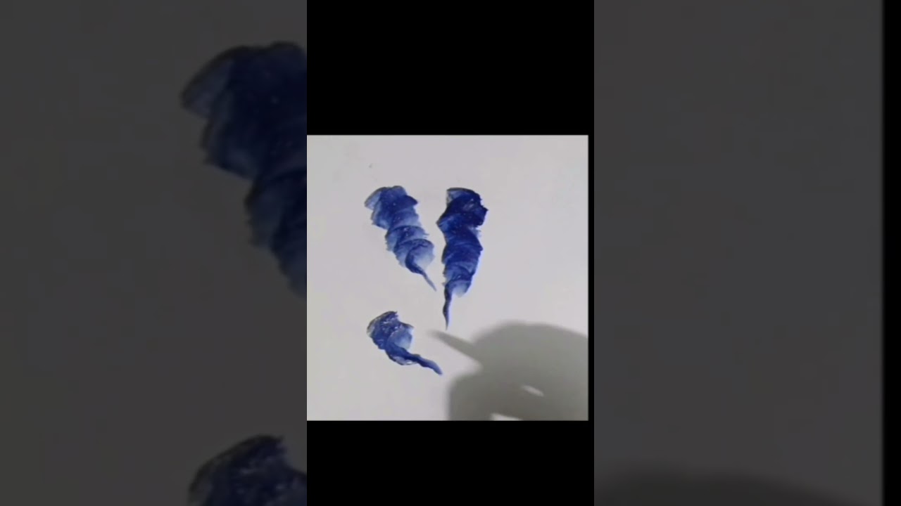 One Stroke Flower Painting 🌸 | Easy Floral Art 