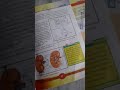 Urinary System 2nd year Biology