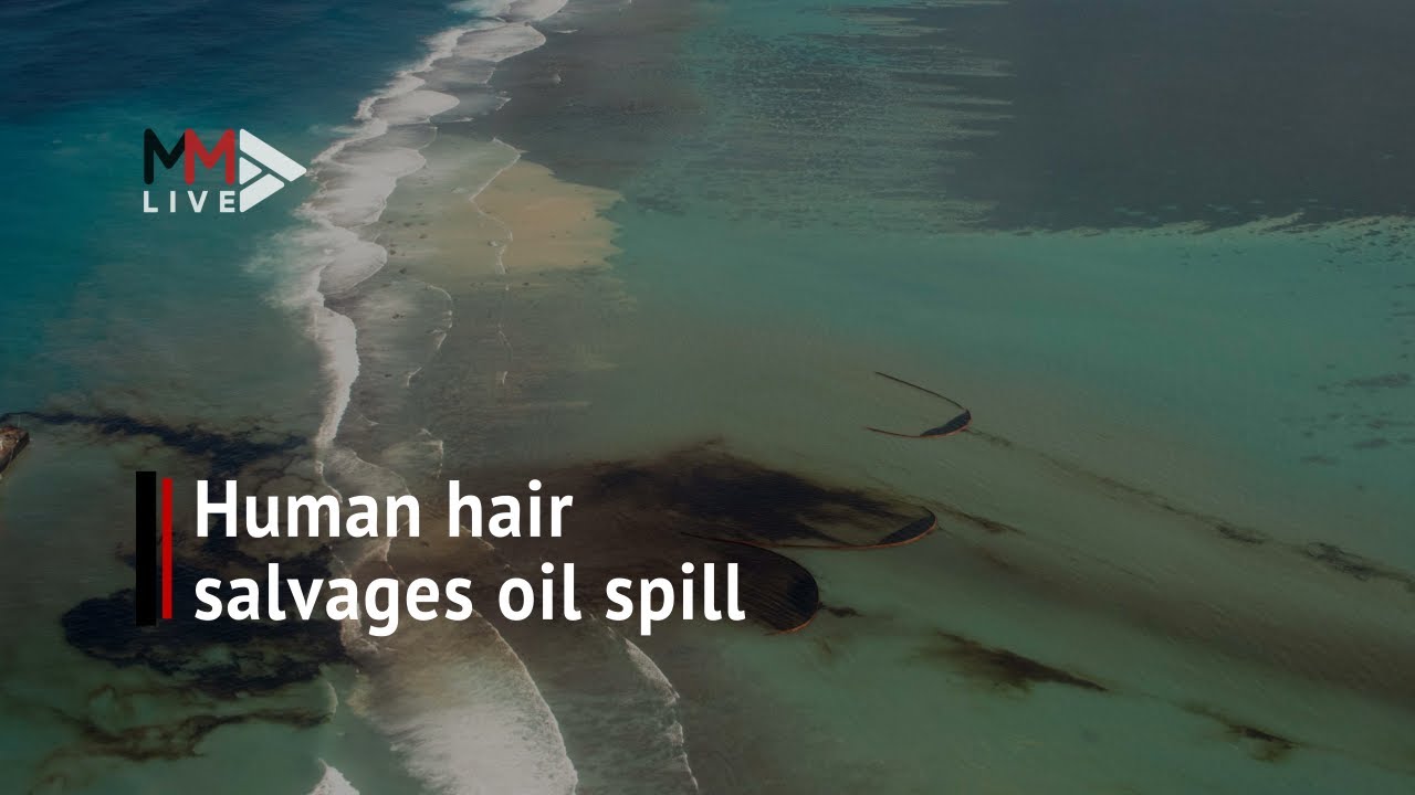 Human hair to the rescue? How hair is helping Mauritius mop up disastrous oil spill YouTube