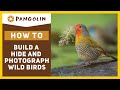 How to PHOTOGRAPH WILD BIRDS in your garden from a HIDE.