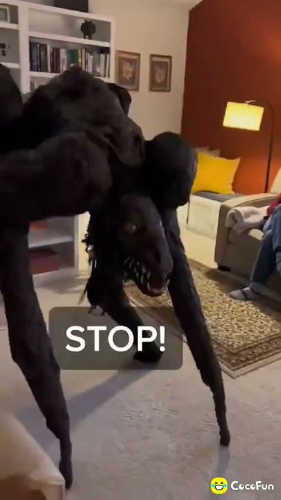 Weird creature hates tag!! #funny #cocofun #shorts