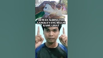 HEWAN ALBINO TERLANGKA YANG BELUM KAMU LIHAT #shorts #short
