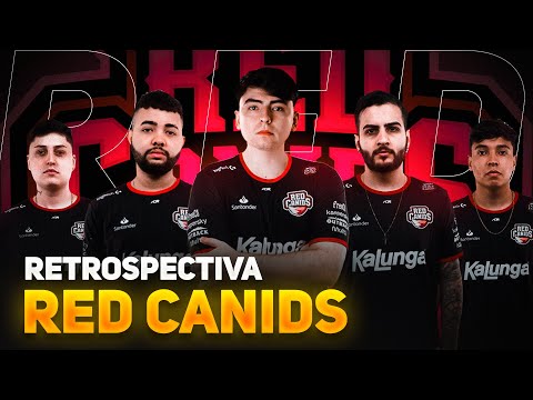 RETROSPECTIVA CS2 #2: RED Canids | Semestre, resultados e mudanças da RED Canids