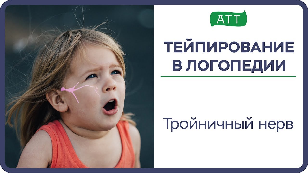 Моторная программа в логопедии