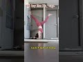 Bổ trợ lên bọ cạp