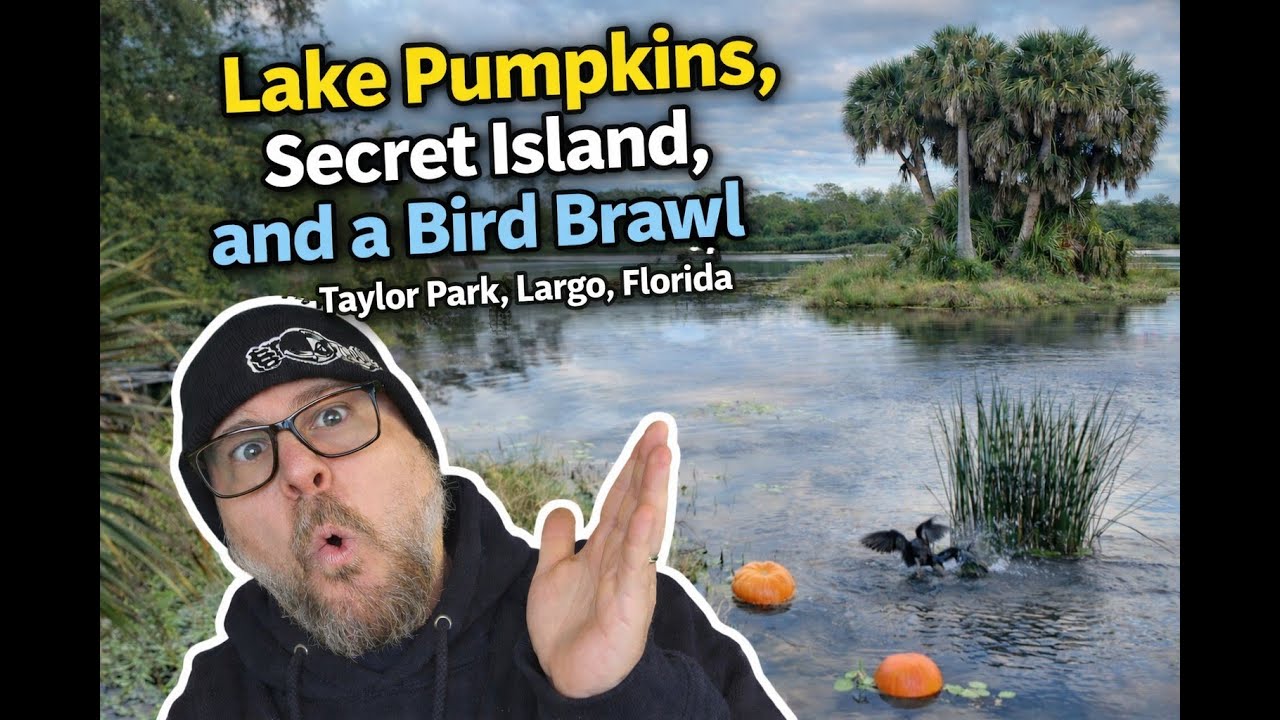 Wild Florida: Lake Pumpkins, Secret Island, and Fighting Birds!