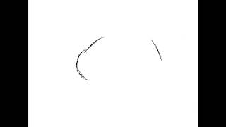 Speed Drawing Of The Big Kids A Gift For Blastoiseanimator