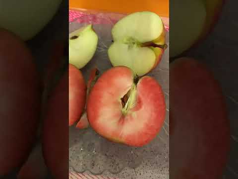 Почему яблоко  внутри бывает красное ???
