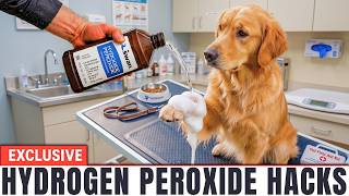 9 Things Veterinarians Don't Want You to Know About Hydrogen Peroxide (#4 Saves Your Carpet)