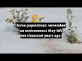 Some populations remember an environment they left ten thousand years ago #shorts
