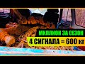 Металлокоп На Развалинах Пилорамы. Отличный Коп Металла И Очень Тяжелые Находки. Тонна За День.