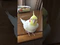 キラ、お雛時代のお話