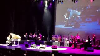 Video thumbnail of "Moein - Havas - Live in Concert 2020 - معین - هوس"