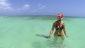 MooMba Beach Bar & Restaurant, Palm Beach, Aruba