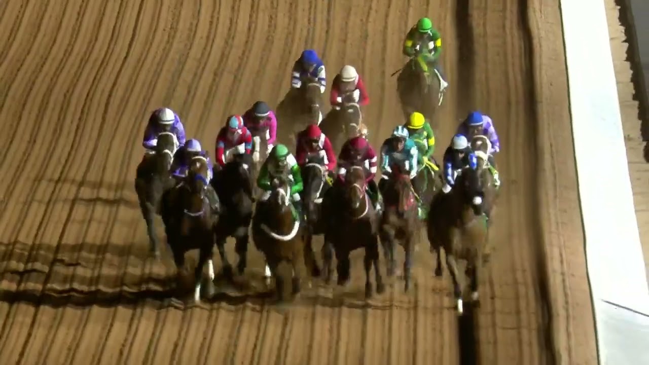 Forever Young Wins the Group 1 Saudi Cup 2025 Beating Romantic