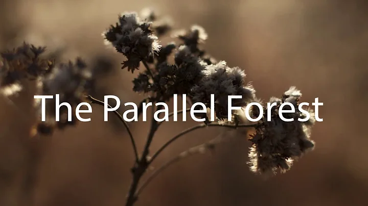 The Parallel Forest