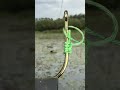 Easy Way To Tie A Strong Fishing Knot For Beginners