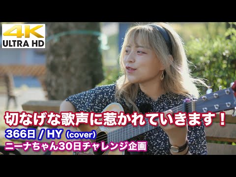 【4K】 切なげな歌声に惹かれていきます！　366日 / HY（cover）【ニーナちゃん30日チャレンジ企画】