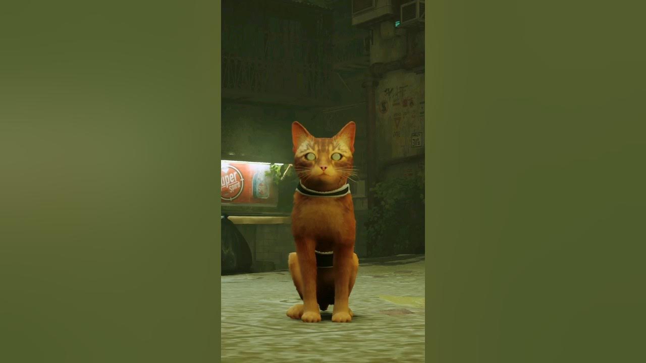 Stray I Jogo do Gatinho AO VIVO no Xbox Series S 