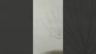 sea shell drawing