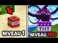 Jai test les tnt du niveau 1  100 sur minecraft 