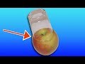 This Is Why You Should Press A Glass Into An Apple
