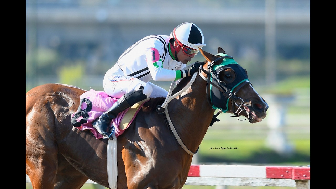 Roberts Orpen tuvo su revancha en Palermo y ganó el Especial Froom