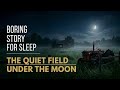 BORING STORY FOR SLEEP | 4 Hours Calm Bedtime Story 😴 | THE QUIET 🙊 FIELD UNDER THE MOON 🌖| 