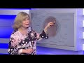 Модуль 5. Людина. Заняття 11: Сенсорні системи. Око і зір