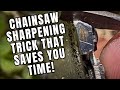 Chainsaw sharpening trick saves you time and money 