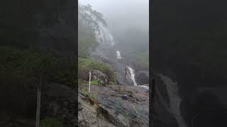 munnar | Kerala | vellachattam | water fall | Dalvinoz Vlogs | shorts |