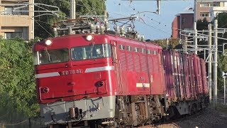 【JR貨物】1087レ ED76-81 ランテック積載