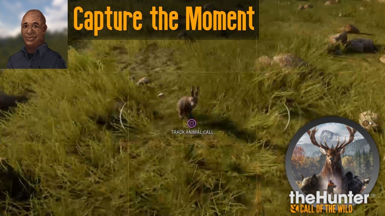 Capture the Moment theHunter Call of the Wild - YouTube
