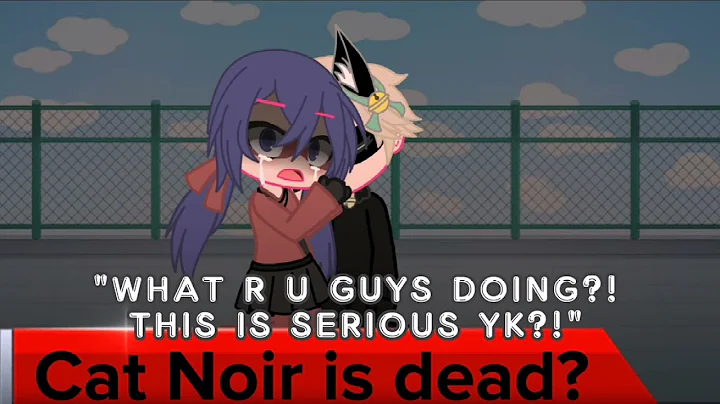 •If adrien/cat noir got cataclysmed• ^Part 2^ °MLB° |Adrienette| ~part 1 in desc~