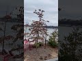 Windy sunset in New York