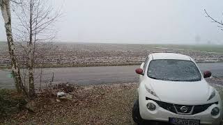 VID 20211129 145314